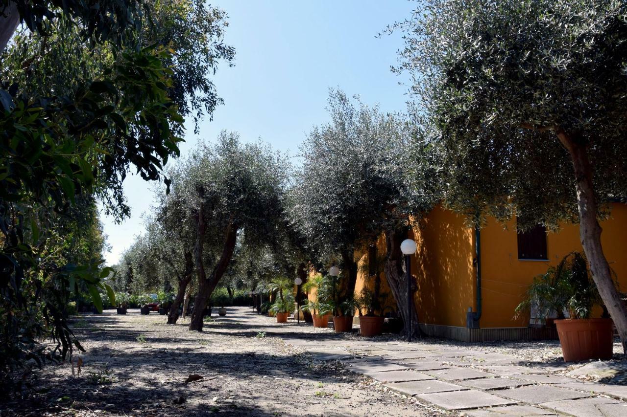 Riviera Degli Eucalipti - Cottage In Riva Al Mare Acireale Εξωτερικό φωτογραφία