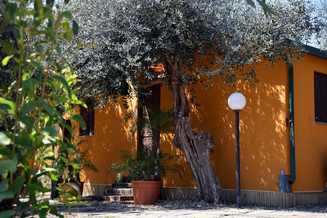 Riviera Degli Eucalipti - Cottage In Riva Al Mare Acireale Εξωτερικό φωτογραφία
