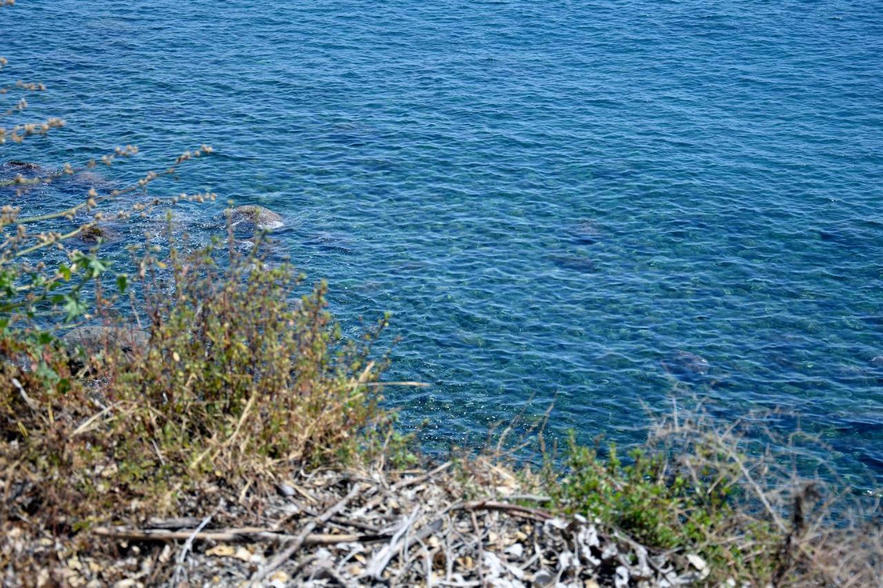 Riviera Degli Eucalipti - Cottage In Riva Al Mare Acireale Εξωτερικό φωτογραφία