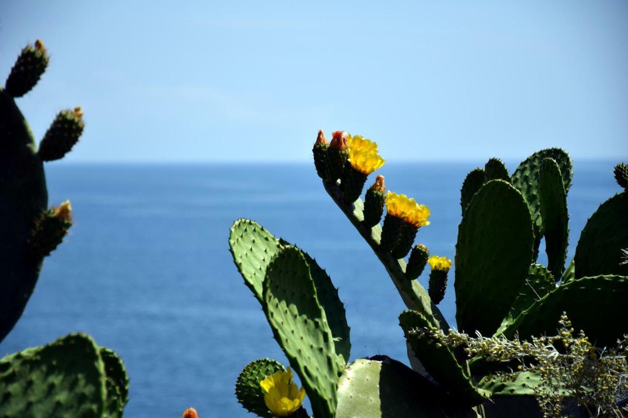 Riviera Degli Eucalipti - Cottage In Riva Al Mare Acireale Εξωτερικό φωτογραφία